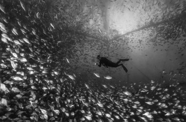 Italy, Sicily, Mediterranean sea, Ponza Island, aquaculture nets off the coast of the island - FILM SCAN clipart