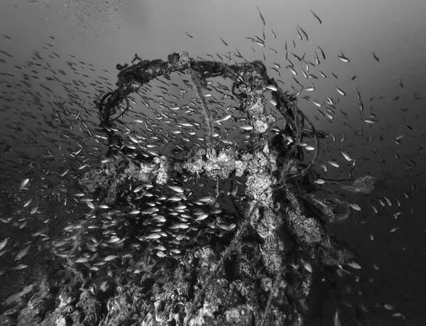 Italien, Kalabrien, Tyrrenska havet, u.w. foto, vrak dykning, sjunkna fartyg - film scan — Stockfoto