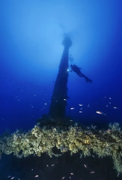 Italien, Kalabrien, Tyrrhenisches Meer, u.w. Foto, Wracktauchen, gesunkenes Schiff - Filmscan — Stockfoto