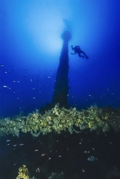 Italien, Kalabrien, Tyrrhenisches Meer, u.w. Foto, Wracktauchen, gesunkenes Schiff - Filmscan — Stockfoto