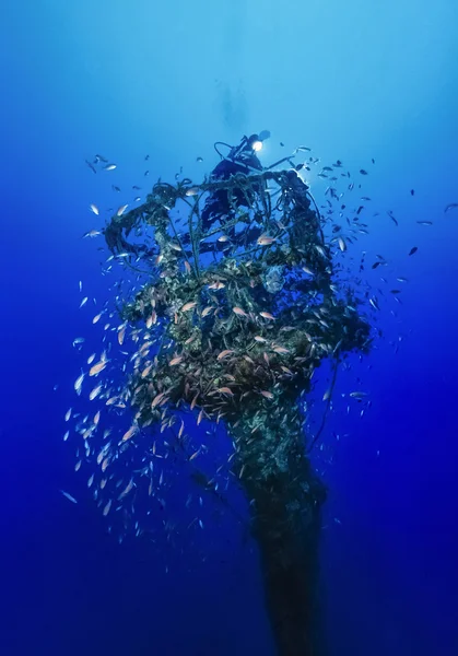 Italy, Calabria, Tyrrhenian sea, U.W. photo, wreck diving, sunken ship - FILM SCAN — Stock Photo, Image
