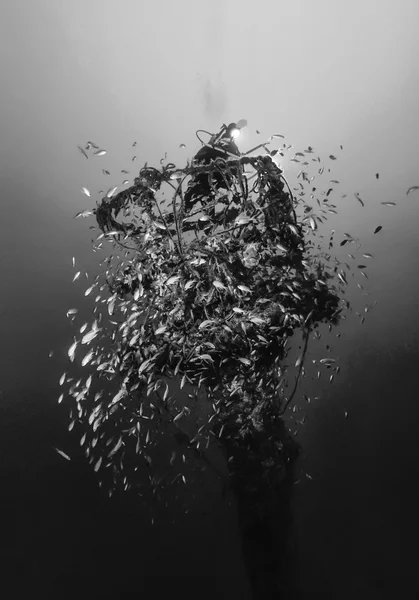 Olaszország, a calabria, a Tirrén-tenger, irányítása fotó, roncs búvár, elsüllyedt hajó - film-scan — Stock Fotó