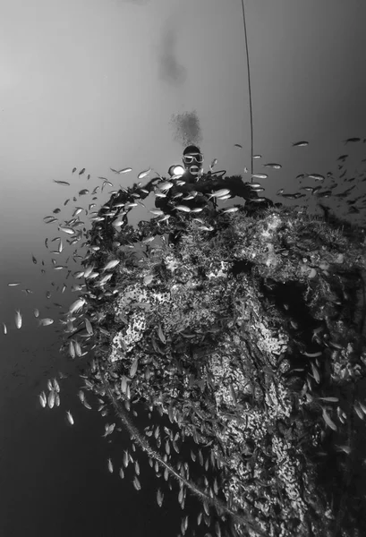 Italy, Calabria, Tyrrhenian sea, U.W. photo, wreck diving, sunken ship (Anthias school) - FILM SCAN — Stock Photo, Image