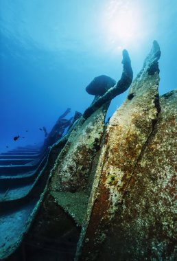 Akdeniz, UW fotoğraf, batık dalış, batık gemi kazası - film tarama