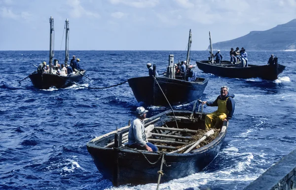 Italia, Sicilia, Mar Mediterraneo, Isola di Favignana; 24 aprile 1984, pesca del tonno, pescatori a bordo delle loro imbarcazioni che vanno a pescare tonni - EDITORIALE (FILM SCAN ) — Foto Stock