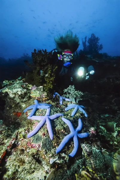 Filippinerna, Balicasag Island, U.W. foto, korallrev. dykare och tropiska hav stjärnor - Film Scan — Stockfoto