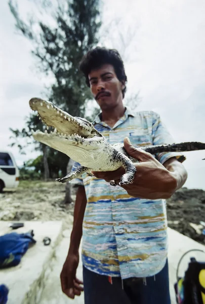 Kuba, maria la gorda; 21. März 1998, kubanischer Mann mit einem kleinen Krokodil in der Hand - Editorial (Filmscan)) — Stockfoto