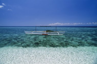 Filipinler, Balicasag Adası (Bohol); sığ suda bir banca (yerel ahşap balıkçı teknesi) - Film Tka
