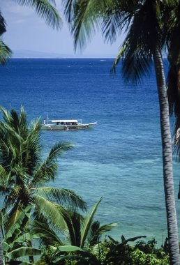 Filipinler, Balicasag Adası (Bohol); 24 Mart 2000, insanlar bir banca (yerel ahşap balıkçı teknesi) ve Hindistan cevizi ağaçları - Editörden (Film tarama)