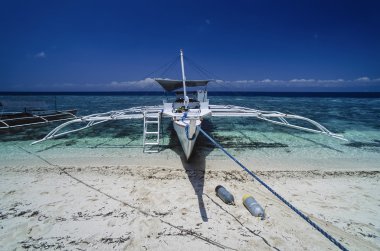 Filipinler, Balicasag Adası (Bohol); bancas (yerel ahşap balıkçı tekneleri) ve tüplü dalış tankları kıyıya - Film Tka