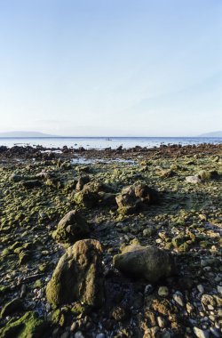 Filipinler, Dakak ada, deniz kenarı ile düşük tide - Film tarama