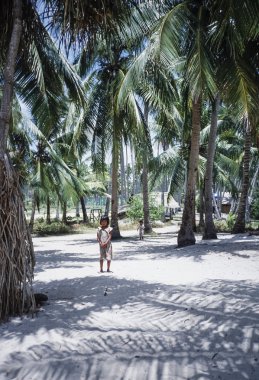 Filipinler, Dakak Adası; 25 Mart 2001, çocuklar ve Hindistan cevizi palmiye ağaçlarında bir balıkçı köyü - Editörden (Film tarama)