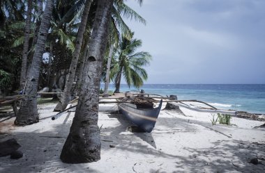 Filipinler, Dakak Adası (Bohol), Hindistan cevizi palmiye ağaçları ve bir yerel ahşap balıkçı teknesi plaj - Film tarama
