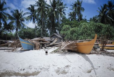 Filipinler, Dakak Adası (Bohol), Hindistan cevizi palmiye ağaçları ve yerel ahşap balıkçı tekneleri sahilde bir balıkçı köyü - Film tarama