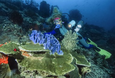 Filipinler, Balicasag Adası (Bohol), UW fotoğraf; 23 Mart 2000, dalgıç ile sünger ve crinoids sert mercanlar üzerinde-editoryal (Film tarama)