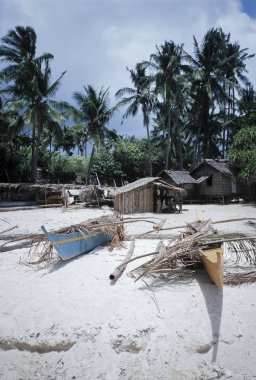 Filipinler, Dakak Adası (Bohol), Hindistan cevizi palmiye ağaçları ve yerel ahşap balıkçı tekneleri sahilde bir balıkçı köyü - Film tarama