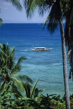 Filipinler, Balicasag Adası (Bohol); 24 Mart 2000, insanlar bir banca (yerel ahşap balıkçı teknesi) ve Hindistan cevizi ağaçları - Editörden (Film tarama)