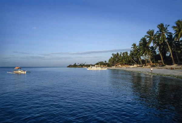 Fülöp-szigetek, Dakak sziget (Bohol), kókusz pálmafák és helyi fából készült horgász csónakok a strandon, egy halász falu - Film-Scan — Stock Fotó