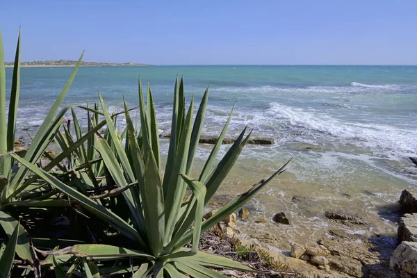 Itália Sicília Mar Mediterrâneo Sampieri Província Ragusa Vista Costa Rochosa — Fotografia de Stock