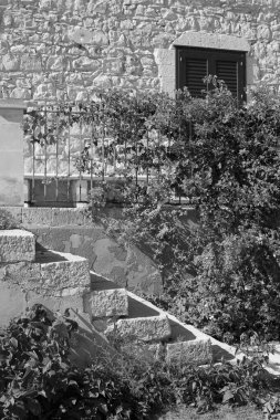 İtalya, Sicilya, Akdeniz, Sampieri (Ragusa Eyaleti), deniz kenarında eski bir taş evin çitlerinde kırmızı buganville.