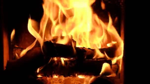 Spalanie Drewna Opałowego Piecu — Wideo stockowe
