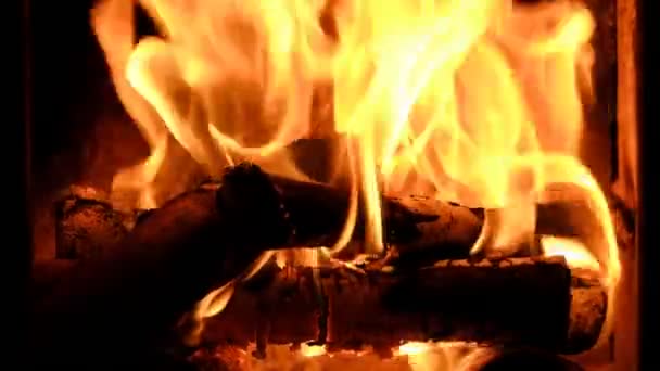 Firewood Burning Stove Royalty Free Stock Footage