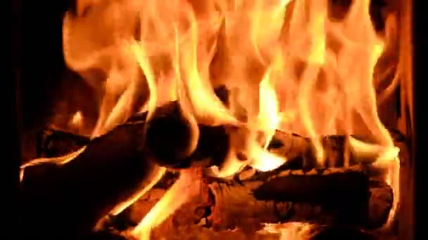 Brandhout Branden Een Kachel Stockvideo