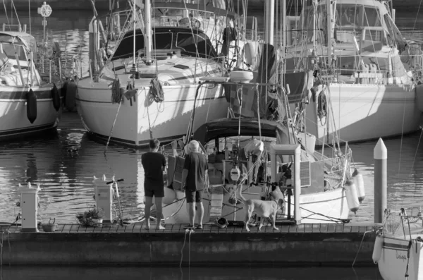 イタリア シチリア島 地中海 マリーナ ラグーザ ラグーザ州 2020年11月15日 港に犬と帆船を持つ人々 Editorial — ストック写真