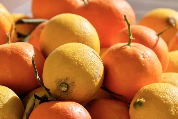 Italy Sicily Sicilian Lemmons Tangerines Table — Stock Photo, Image