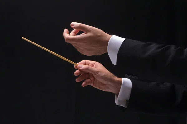 Hands Music Conductor — Stock Photo, Image