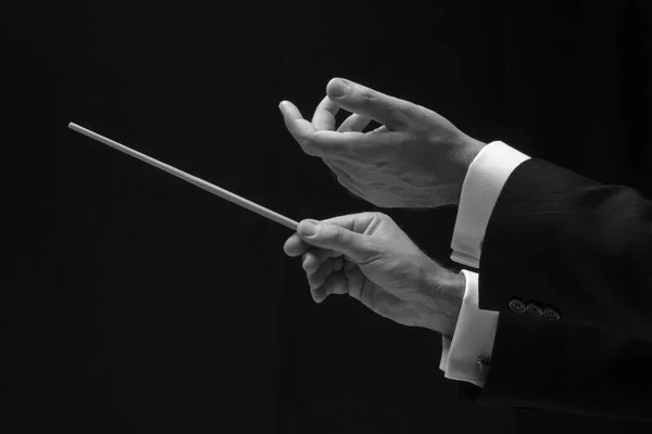 Hands Music Conductor — Stock Photo, Image