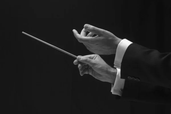 Hands Music Conductor — Stock Photo, Image