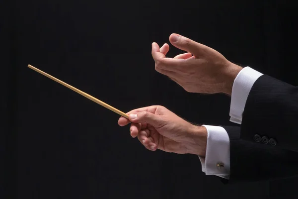 Hands Music Conductor — Stock Photo, Image