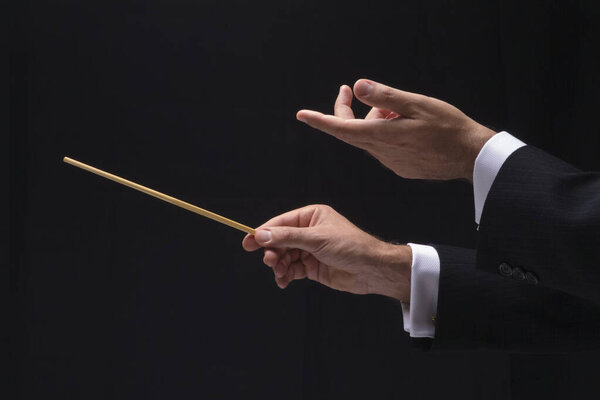 Руки дирижера
