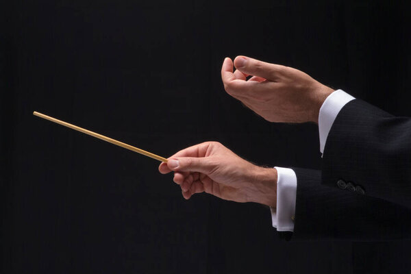 Руки дирижера