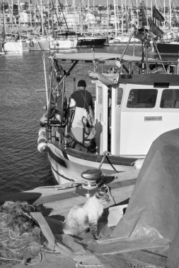İtalya, Sicilya, Marina di Ragusa (Ragusa Eyaleti); limanda ahşap bir balıkçı teknesinde çalışan bir kedi ve balıkçı manzarası 