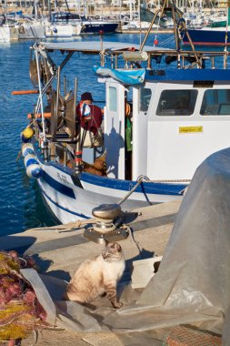 İtalya, Sicilya, Marina di Ragusa (Ragusa Eyaleti); limanda ahşap bir balıkçı teknesinde çalışan bir kedi ve balıkçı manzarası 