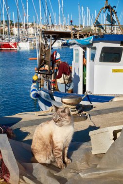 İtalya, Sicilya, Marina di Ragusa (Ragusa Eyaleti); limanda ahşap bir balıkçı teknesinde çalışan bir kedi ve balıkçı manzarası 