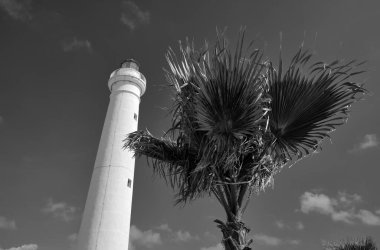 İtalya, Sicilya, Akdeniz, Punta Secca (Ragusa Eyaleti), deniz feneri manzarası ve deniz kenarında bir palmiye 