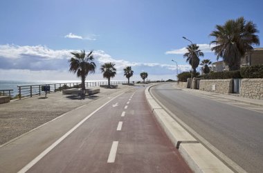 İtalya, Sicilya, Akdeniz, Marina di Ragusa (Ragusa Eyaleti), palmiye ağaçlı bisiklet yolu