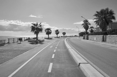 İtalya, Sicilya, Akdeniz, Marina di Ragusa (Ragusa Eyaleti), palmiye ağaçlı bisiklet yolu