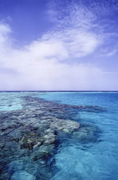 Sudan Red Sea Sanghaneb Reef View Huge Coral Reef Film — Stock Photo, Image