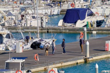 İtalya, Sicilya, Akdeniz, Marina di Ragusa (Ragusa Eyaleti); 17 Nisan 2021, limanda köpek ve lüks yatları olan insanlar - EDITORIAL