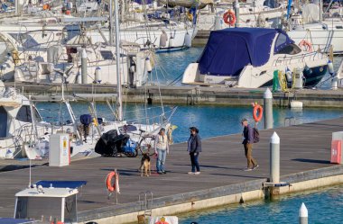 İtalya, Sicilya, Akdeniz, Marina di Ragusa (Ragusa Eyaleti); 17 Nisan 2021, limanda köpek ve lüks yatları olan insanlar - EDITORIAL