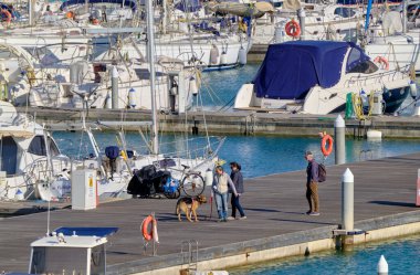 İtalya, Sicilya, Akdeniz, Marina di Ragusa (Ragusa Eyaleti); 17 Nisan 2021, limanda köpek ve lüks yatları olan insanlar - EDITORIAL