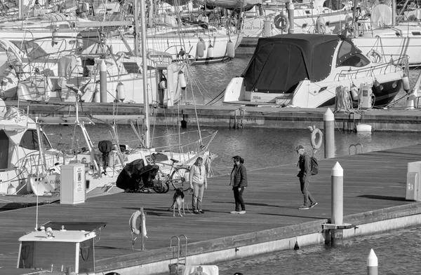 イタリア シチリア島 地中海 マリーナ ラグーザ ラグーザ州 April 2021 港に犬と豪華なヨットを持つ人々 Editorial — ストック写真