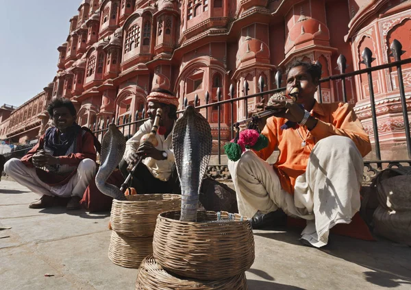 Índia Rajasthan Jaipur Janeiro 2007 Encantadores Serpentes Fazem Duas Cobras — Fotografia de Stock