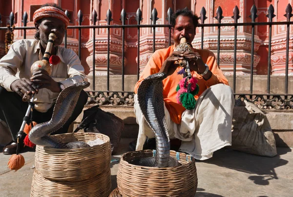 India Rajasthan Jaipur January 2007 Snake Charmers Make Two King — Stock Photo, Image