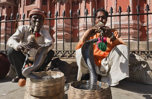 India Rajasthan Jaipur Gennaio 2007 Incantatori Serpenti Fanno Ballare Due — Foto Stock