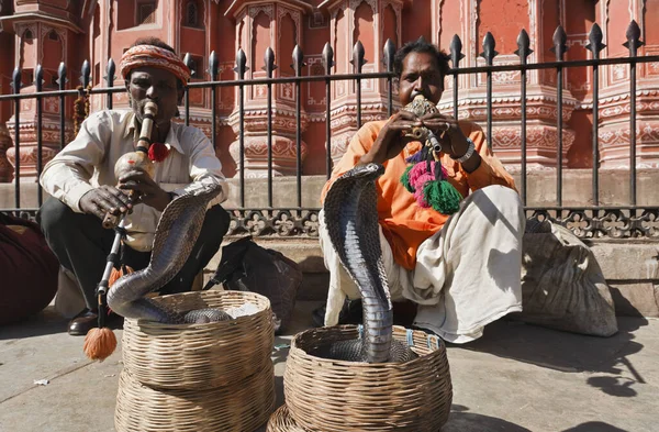 Στην Ινδία Rajasthan Jaipur Ιανουάριος 2007 Γοητευτές Φίδι Κάνει Δύο Royalty Free Εικόνες Αρχείου